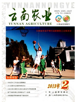 發表論文的期刊投稿