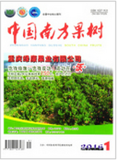 中國南方果樹