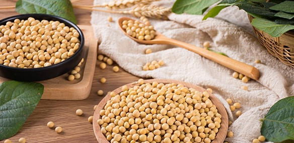 �󶹵Ķ����Ļ��rֵ̽��