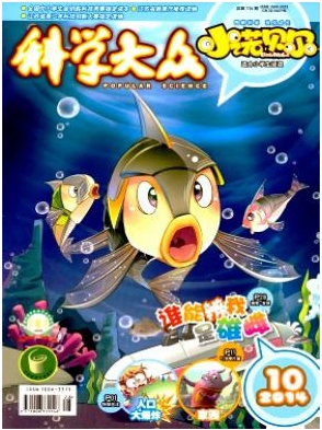 �ƌW(xu��)��(С�W(xu��)��)