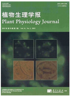 搜狗截圖16年01月26日1554_22.png