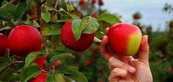����@ˇ���g���Æ��}������