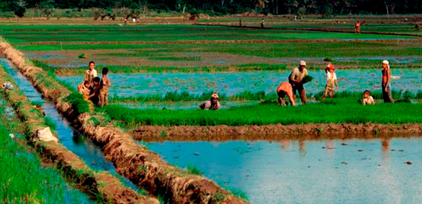 �r�I�������L��Ӱ������c�ɳ��m�lչ;��