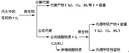 �ЙC(j��)��.jpg