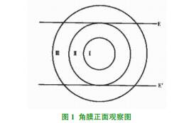 �\Մ����Ĥ����օ^�ּ����R������