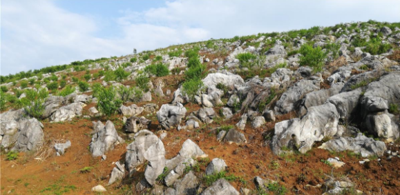 	�V��ʯĮ���؅^���ήa�I�lչ�о�