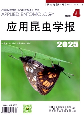 ��(y��ng)�����x�W(xu��)��