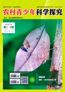 �r��������ƌW̽��